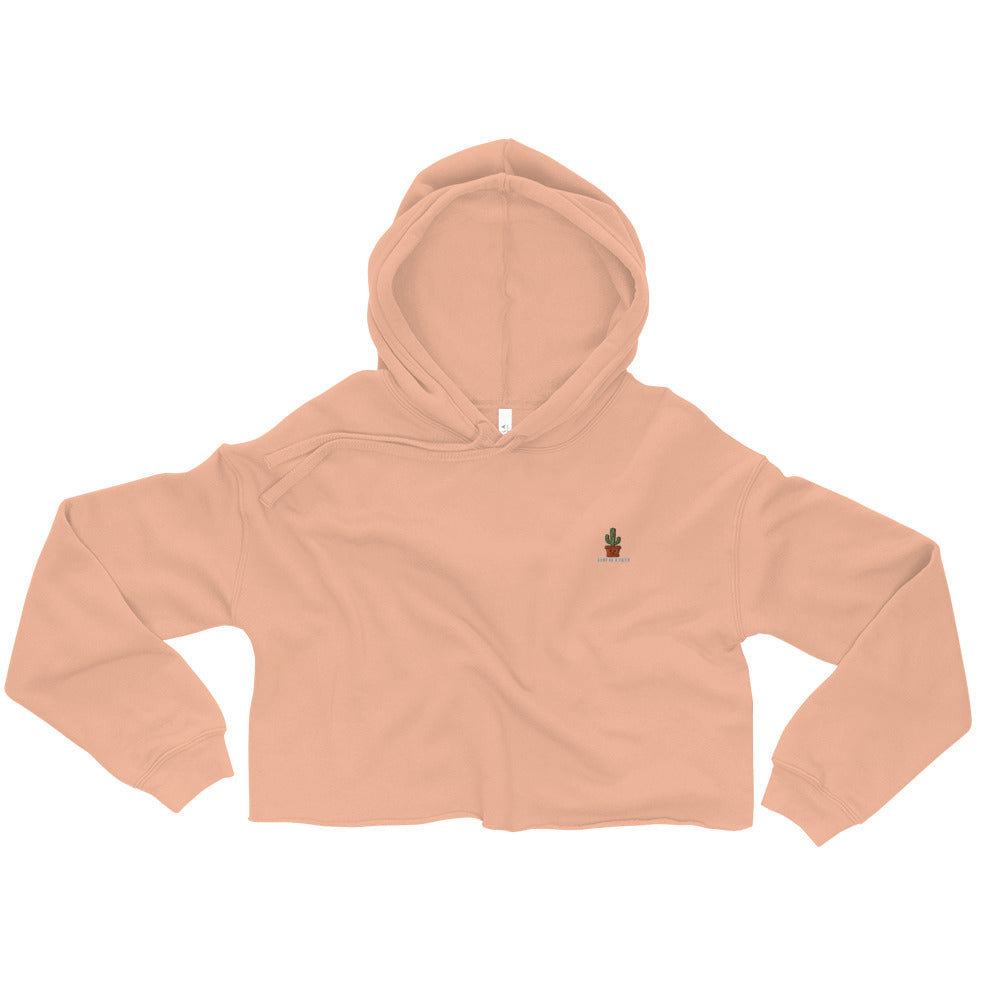 Don't be a Pr**k Crop Hoodie