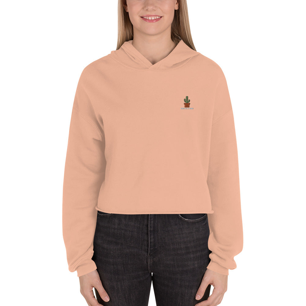 Don't be a Pr**k Crop Hoodie